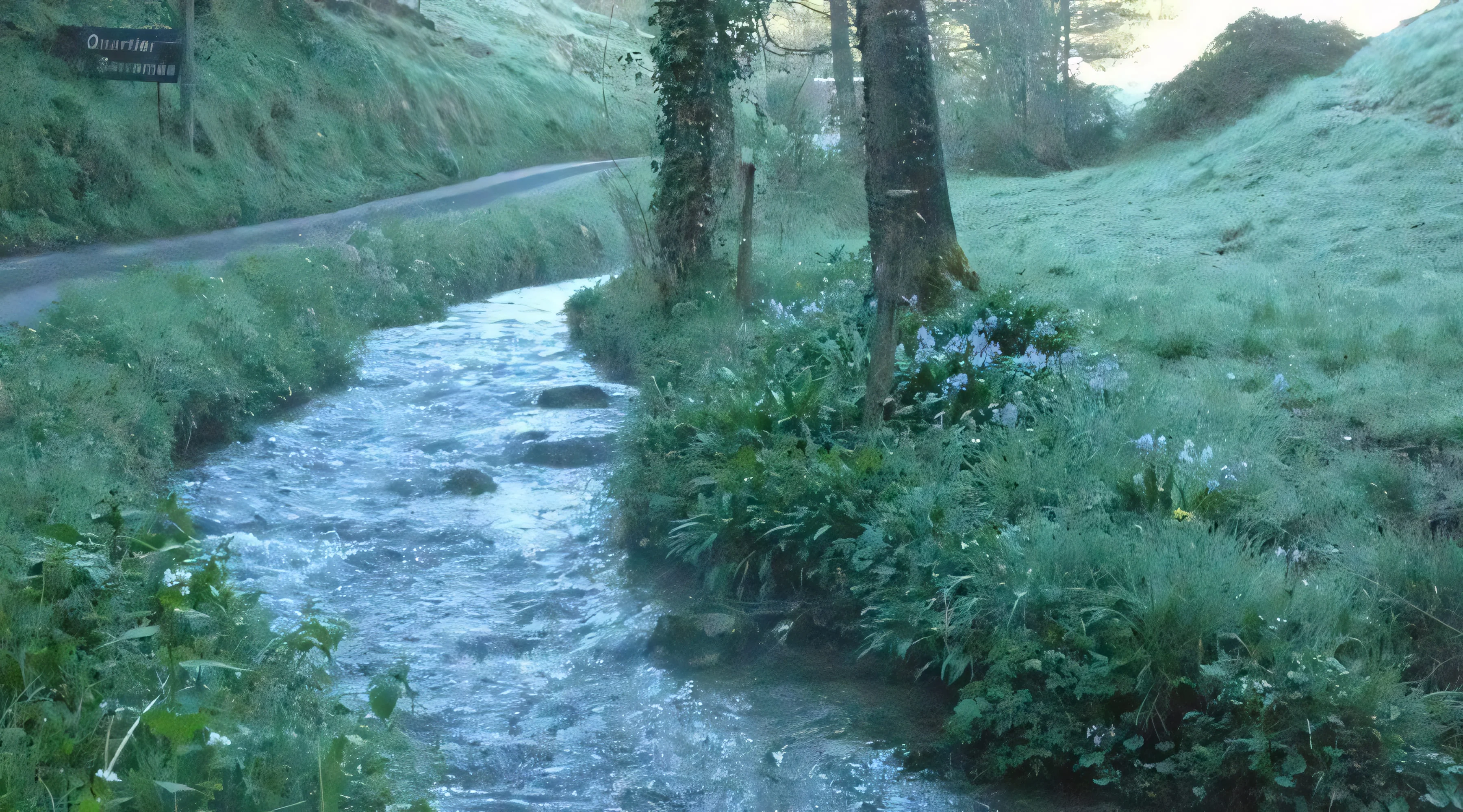 Cours d'eau Sarraméa