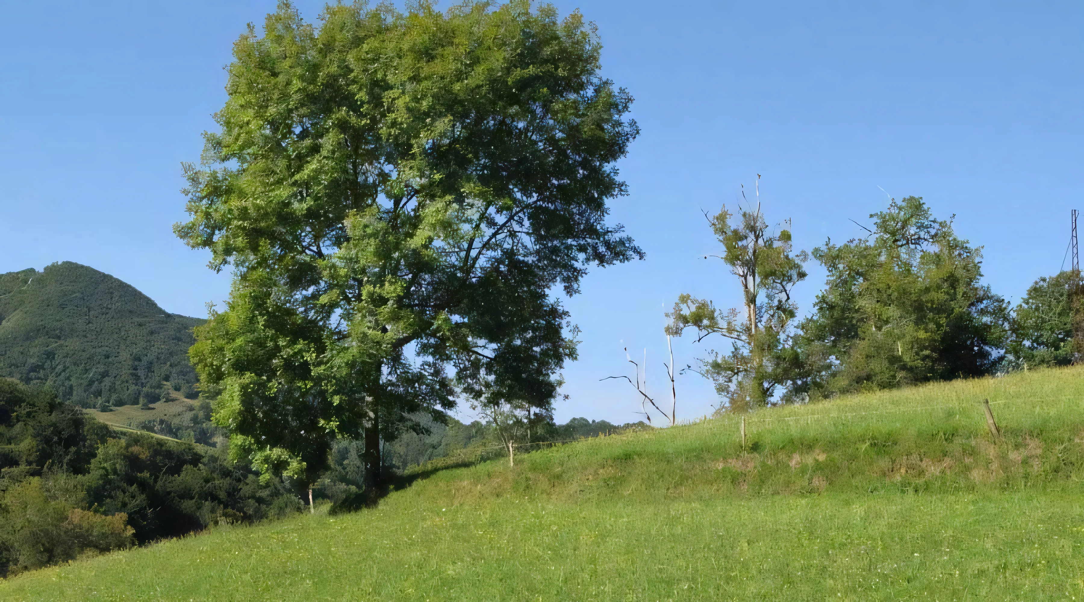 Alentours de la ferme